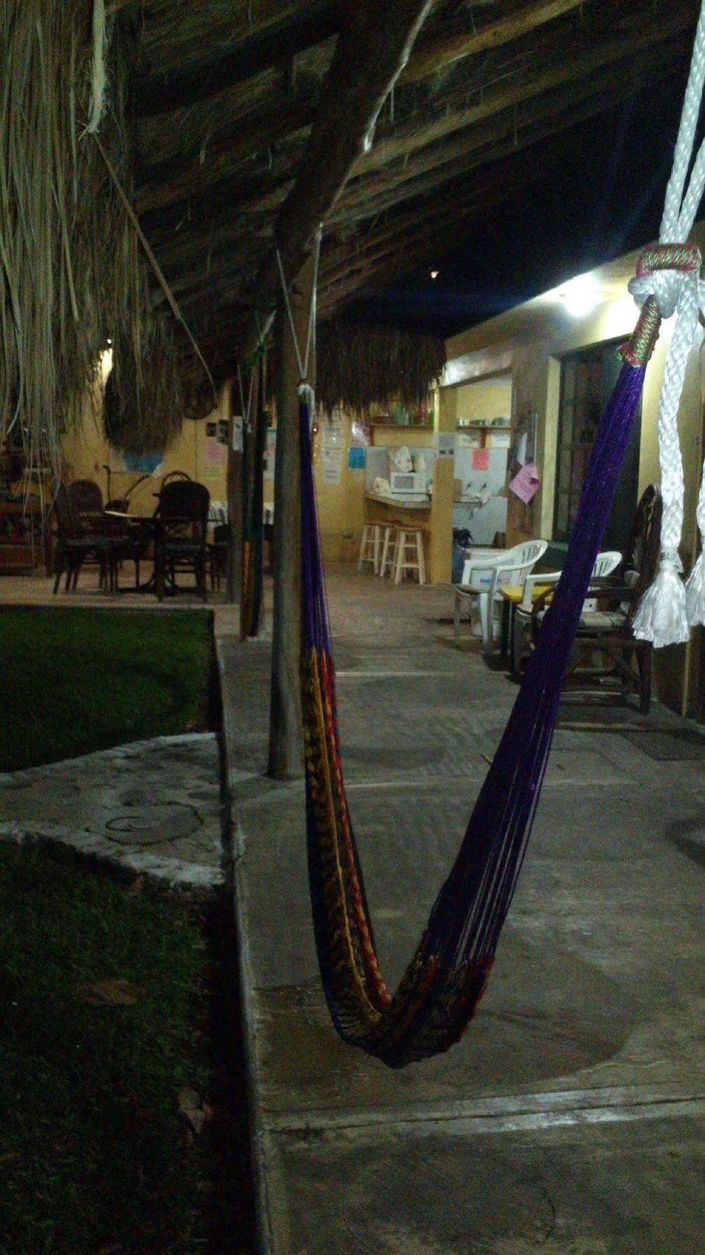 Amigos Hostel Cozumel Esterno foto