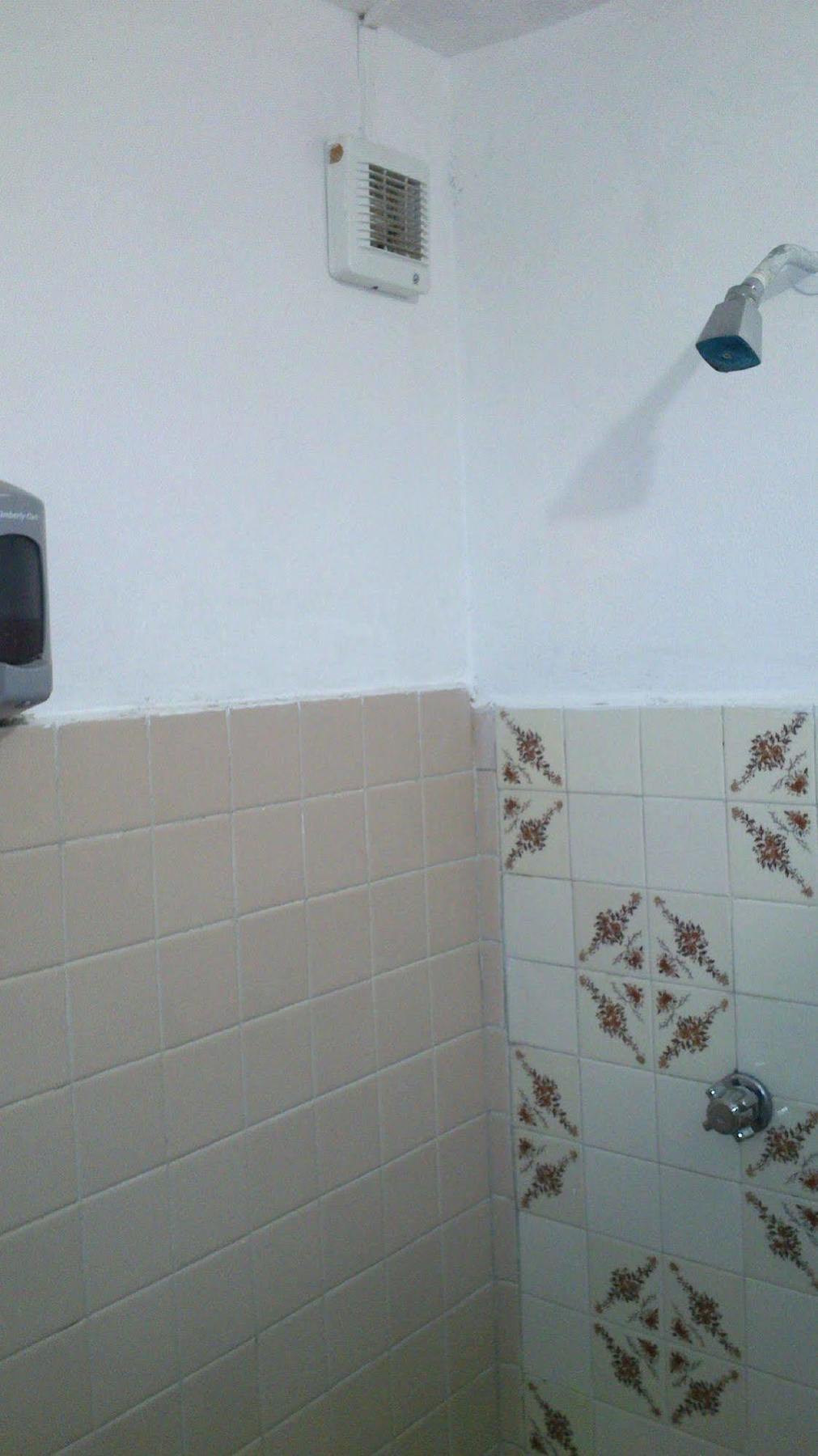 Amigos Hostel Cozumel Esterno foto