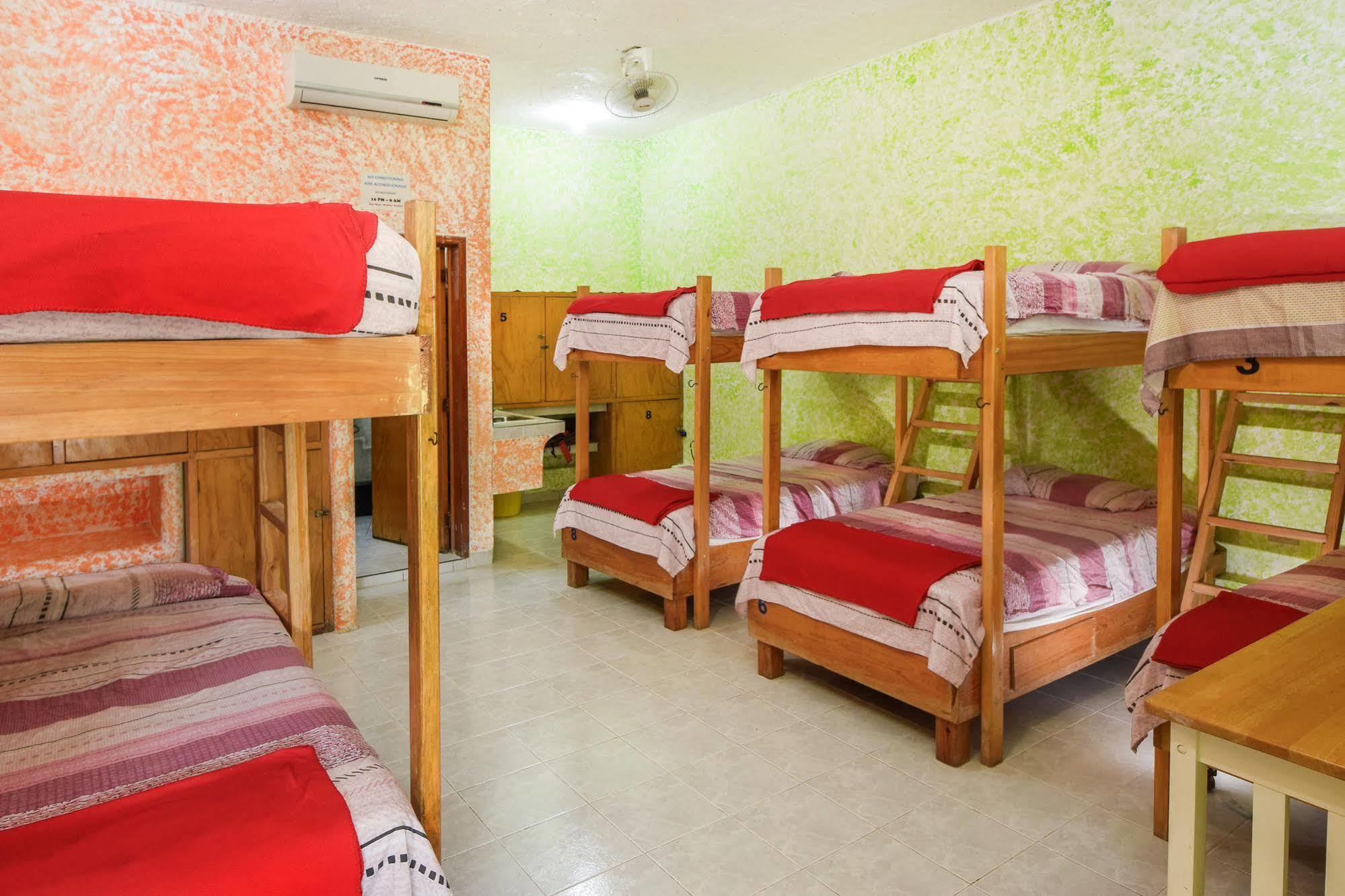 Amigos Hostel Cozumel Letti da ostello foto