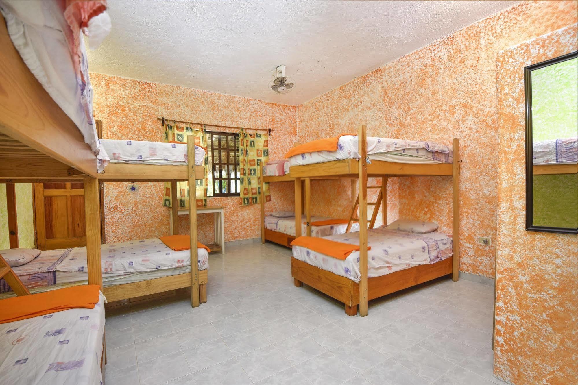 Amigos Hostel Cozumel Esterno foto